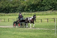 015 DRESSAGE - ATTELAGE - 27052017-GAL 0622 : 2017, 27 Mai 2017, Concours ATTELAGE 2017, D105, DR01, Dressage