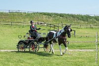 016 DRESSAGE - ATTELAGE - 27052017-GAL 0623 : 2017, 27 Mai 2017, Concours ATTELAGE 2017, D105, DR01, Dressage