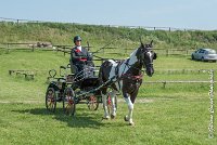 017 DRESSAGE - ATTELAGE - 27052017-GAL 0624 : 2017, 27 Mai 2017, Concours ATTELAGE 2017, D105, DR01, Dressage