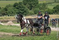 001D105 - MARATHON -ATTELAGE LOUVRES - MARATHON - 28052017-ATE 2349 : 2017, 28 mAI 2017, Concours ATTELAGE 2017, D105, MARATHON