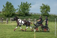 002D105 - MARATHON -ATTELAGE LOUVRES - MARATHON - 28052017-ATE 2350 : 2017, 28 mAI 2017, Concours ATTELAGE 2017, D105, MARATHON