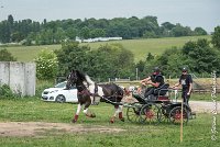 008D105 - MARATHON -ATTELAGE LOUVRES - MARATHON - 28052017-ATE 2409 : 2017, 28 mAI 2017, Concours ATTELAGE 2017, D105, MARATHON, Obstacle 3