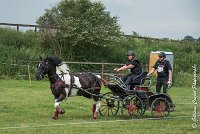 009D105 - MARATHON -ATTELAGE LOUVRES - MARATHON - 28052017-ATE 2410 : 2017, 28 mAI 2017, Concours ATTELAGE 2017, D105, MARATHON, Obstacle 3