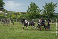 010D105 - MARATHON -ATTELAGE LOUVRES - MARATHON - 28052017-ATE 2411 : 2017, 28 mAI 2017, Concours ATTELAGE 2017, D105, MARATHON, Obstacle 3