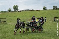 011D105 - MARATHON -ATTELAGE LOUVRES - MARATHON - 28052017-ATE 2412 : 2017, 28 mAI 2017, Concours ATTELAGE 2017, D105, MARATHON, Obstacle 3