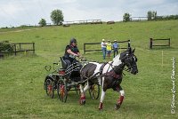 012D105 - MARATHON -ATTELAGE LOUVRES - MARATHON - 28052017-ATE 2413 : 2017, 28 mAI 2017, Concours ATTELAGE 2017, D105, MARATHON, Obstacle 3