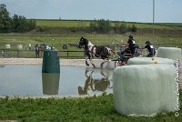 018D105 - MARATHON -ATTELAGE LOUVRES - MARATHON - 28052017-ATE 2419 : 2017, 28 mAI 2017, Concours ATTELAGE 2017, D105, MARATHON, Obstacle 3