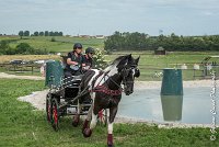 022D105 - MARATHON -ATTELAGE LOUVRES - MARATHON - 28052017-ATE 2423 : 2017, 28 mAI 2017, Concours ATTELAGE 2017, D105, MARATHON, Obstacle 3