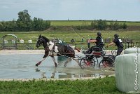 024D105 - MARATHON -ATTELAGE LOUVRES - MARATHON - 28052017-ATE 2425 : 2017, 28 mAI 2017, Concours ATTELAGE 2017, D105, MARATHON, Obstacle 3