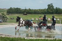 025D105 - MARATHON -ATTELAGE LOUVRES - MARATHON - 28052017-ATE 2426 : 2017, 28 mAI 2017, Concours ATTELAGE 2017, D105, MARATHON, Obstacle 3