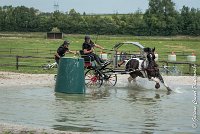 027D105 - MARATHON -ATTELAGE LOUVRES - MARATHON - 28052017-ATE 2428 : 2017, 28 mAI 2017, Concours ATTELAGE 2017, D105, MARATHON, Obstacle 3