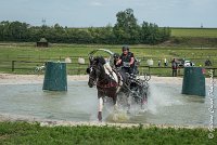 032D105 - MARATHON -ATTELAGE LOUVRES - MARATHON - 28052017-ATE 2433 : 2017, 28 mAI 2017, Concours ATTELAGE 2017, D105, MARATHON, Obstacle 3