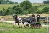 035D105 - MARATHON -ATTELAGE LOUVRES - MARATHON - 28052017-ATE 2460 : 2017, 28 mAI 2017, Concours ATTELAGE 2017, D105, MARATHON, Obstacle 4