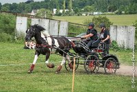 036D105 - MARATHON -ATTELAGE LOUVRES - MARATHON - 28052017-ATE 2461 : 2017, 28 mAI 2017, Concours ATTELAGE 2017, D105, MARATHON, Obstacle 4