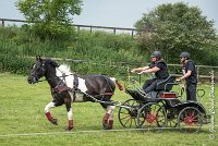 037D105 - MARATHON -ATTELAGE LOUVRES - MARATHON - 28052017-ATE 2462 : 2017, 28 mAI 2017, Concours ATTELAGE 2017, D105, MARATHON, Obstacle 4