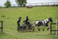 038D105 - MARATHON -ATTELAGE LOUVRES - MARATHON - 28052017-ATE 2463 : 2017, 28 mAI 2017, Concours ATTELAGE 2017, D105, MARATHON, Obstacle 4