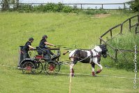 039D105 - MARATHON -ATTELAGE LOUVRES - MARATHON - 28052017-ATE 2464 : 2017, 28 mAI 2017, Concours ATTELAGE 2017, D105, MARATHON, Obstacle 4