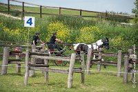 040D105 - MARATHON -ATTELAGE LOUVRES - MARATHON - 28052017-ATE 2465 : 2017, 28 mAI 2017, Concours ATTELAGE 2017, D105, MARATHON, Obstacle 4