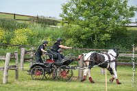 043D105 - MARATHON -ATTELAGE LOUVRES - MARATHON - 28052017-ATE 2468 : 2017, 28 mAI 2017, Concours ATTELAGE 2017, D105, MARATHON, Obstacle 4