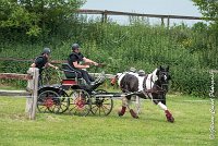 045D105 - MARATHON -ATTELAGE LOUVRES - MARATHON - 28052017-ATE 2470 : 2017, 28 mAI 2017, Concours ATTELAGE 2017, D105, MARATHON, Obstacle 4