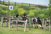 048D105 - MARATHON -ATTELAGE LOUVRES - MARATHON - 28052017-ATE 2473 : 2017, 28 mAI 2017, Concours ATTELAGE 2017, D105, MARATHON, Obstacle 4