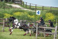 050D105 - MARATHON -ATTELAGE LOUVRES - MARATHON - 28052017-ATE 2475 : 2017, 28 mAI 2017, Concours ATTELAGE 2017, D105, MARATHON, Obstacle 4