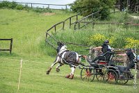 051D105 - MARATHON -ATTELAGE LOUVRES - MARATHON - 28052017-ATE 2476 : 2017, 28 mAI 2017, Concours ATTELAGE 2017, D105, MARATHON, Obstacle 4