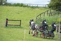 052D105 - MARATHON -ATTELAGE LOUVRES - MARATHON - 28052017-ATE 2477 : 2017, 28 mAI 2017, Concours ATTELAGE 2017, D105, MARATHON, Obstacle 4