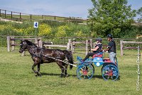 002 D106 -ATTELAGE LOUVRES - MARATHON - 28052017-ATE 1852 : 2017, 28 mAI 2017, Concours ATTELAGE 2017, D106, MARATHON