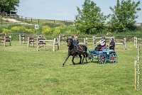 003 D106 -ATTELAGE LOUVRES - MARATHON - 28052017-ATE 1871 : 2017, 28 mAI 2017, Concours ATTELAGE 2017, D106, MARATHON, Obstacle 3