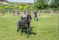 004 D106 -ATTELAGE LOUVRES - MARATHON - 28052017-ATE 1872 : 2017, 28 mAI 2017, Concours ATTELAGE 2017, D106, MARATHON, Obstacle 3