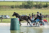 012 D106 -ATTELAGE LOUVRES - MARATHON - 28052017-ATE 1881 : 2017, 28 mAI 2017, Concours ATTELAGE 2017, D106, MARATHON, Obstacle 3