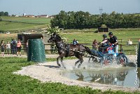 015 D106 -ATTELAGE LOUVRES - MARATHON - 28052017-ATE 1885 : 2017, 28 mAI 2017, Concours ATTELAGE 2017, D106, MARATHON, Obstacle 3