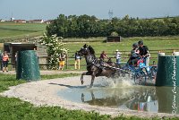 016 D106 -ATTELAGE LOUVRES - MARATHON - 28052017-ATE 1884 : 2017, 28 mAI 2017, Concours ATTELAGE 2017, D106, MARATHON, Obstacle 3