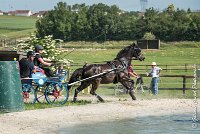 018 D106 -ATTELAGE LOUVRES - MARATHON - 28052017-ATE 1887 : 2017, 28 mAI 2017, Concours ATTELAGE 2017, D106, MARATHON, Obstacle 3