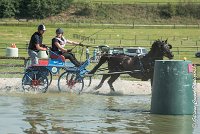 020 D106 -ATTELAGE LOUVRES - MARATHON - 28052017-ATE 1889 : 2017, 28 mAI 2017, Concours ATTELAGE 2017, D106, MARATHON, Obstacle 3