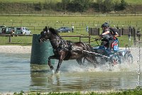 023 D106 -ATTELAGE LOUVRES - MARATHON - 28052017-ATE 1892 : 2017, 28 mAI 2017, Concours ATTELAGE 2017, D106, MARATHON, Obstacle 3