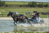 024 D106 -ATTELAGE LOUVRES - MARATHON - 28052017-ATE 1893 : 2017, 28 mAI 2017, Concours ATTELAGE 2017, D106, MARATHON, Obstacle 3