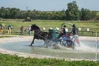 026 D106 -ATTELAGE LOUVRES - MARATHON - 28052017-ATE 1895 : 2017, 28 mAI 2017, Concours ATTELAGE 2017, D106, MARATHON, Obstacle 3