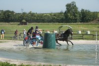 027 D106 -ATTELAGE LOUVRES - MARATHON - 28052017-ATE 1896 : 2017, 28 mAI 2017, Concours ATTELAGE 2017, D106, MARATHON, Obstacle 3