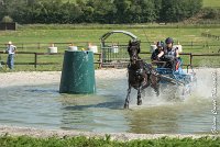 030 D106 -ATTELAGE LOUVRES - MARATHON - 28052017-ATE 1899 : 2017, 28 mAI 2017, Concours ATTELAGE 2017, D106, MARATHON, Obstacle 3