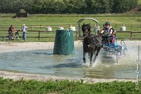 031 D106 -ATTELAGE LOUVRES - MARATHON - 28052017-ATE 1900 : 2017, 28 mAI 2017, Concours ATTELAGE 2017, D106, MARATHON, Obstacle 3