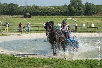 032 D106 -ATTELAGE LOUVRES - MARATHON - 28052017-ATE 1901 : 2017, 28 mAI 2017, Concours ATTELAGE 2017, D106, MARATHON, Obstacle 3