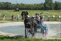 033 D106 -ATTELAGE LOUVRES - MARATHON - 28052017-ATE 1902 : 2017, 28 mAI 2017, Concours ATTELAGE 2017, D106, MARATHON, Obstacle 3