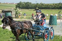 034 D106 -ATTELAGE LOUVRES - MARATHON - 28052017-ATE 1903 : 2017, 28 mAI 2017, Concours ATTELAGE 2017, D106, MARATHON, Obstacle 3