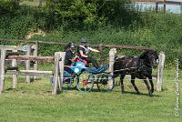 036 D106 -ATTELAGE LOUVRES - MARATHON - 28052017-ATE 1956 : 2017, 28 mAI 2017, Concours ATTELAGE 2017, D106, MARATHON, Obstacle 4