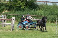 037 D106 -ATTELAGE LOUVRES - MARATHON - 28052017-ATE 1957 : 2017, 28 mAI 2017, Concours ATTELAGE 2017, D106, MARATHON, Obstacle 4