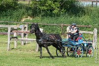 038 D106 -ATTELAGE LOUVRES - MARATHON - 28052017-ATE 1958 : 2017, 28 mAI 2017, Concours ATTELAGE 2017, D106, MARATHON, Obstacle 4