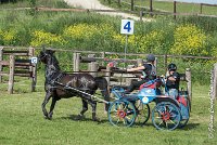 039 D106 -ATTELAGE LOUVRES - MARATHON - 28052017-ATE 1959 : 2017, 28 mAI 2017, Concours ATTELAGE 2017, D106, MARATHON, Obstacle 4