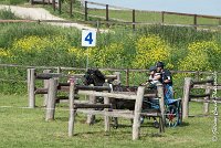 042 D106 -ATTELAGE LOUVRES - MARATHON - 28052017-ATE 1962 : 2017, 28 mAI 2017, Concours ATTELAGE 2017, D106, MARATHON, Obstacle 4